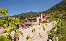 Nebbiolo Wine B&B